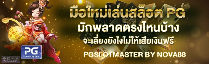 มือใหม่ PG