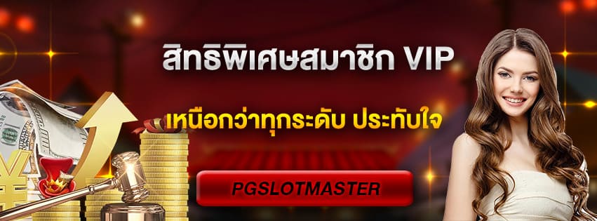 สิทธิพิเศษ VIP